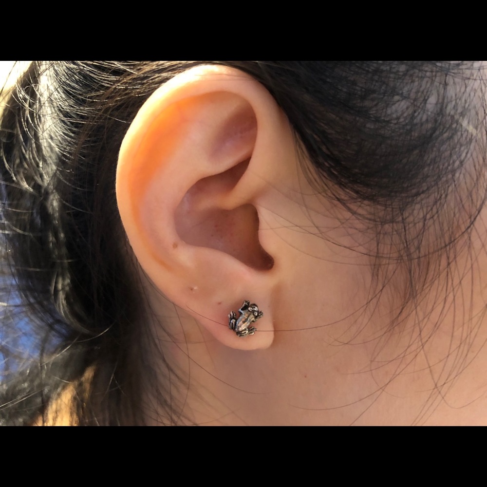 Sliver frog earrings